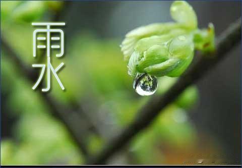 《西江月.雨水感怀》

细雨轻烟润物，
霜华晚照流霞。
平生历尽几风沙，
静看新