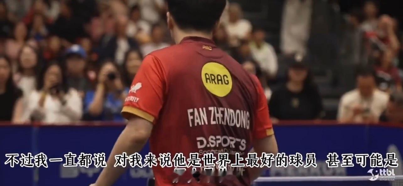 波尔解说樊振东称其几乎没有弱点 波尔说樊振东“几乎没有弱点”的时候，他刚刚完成了