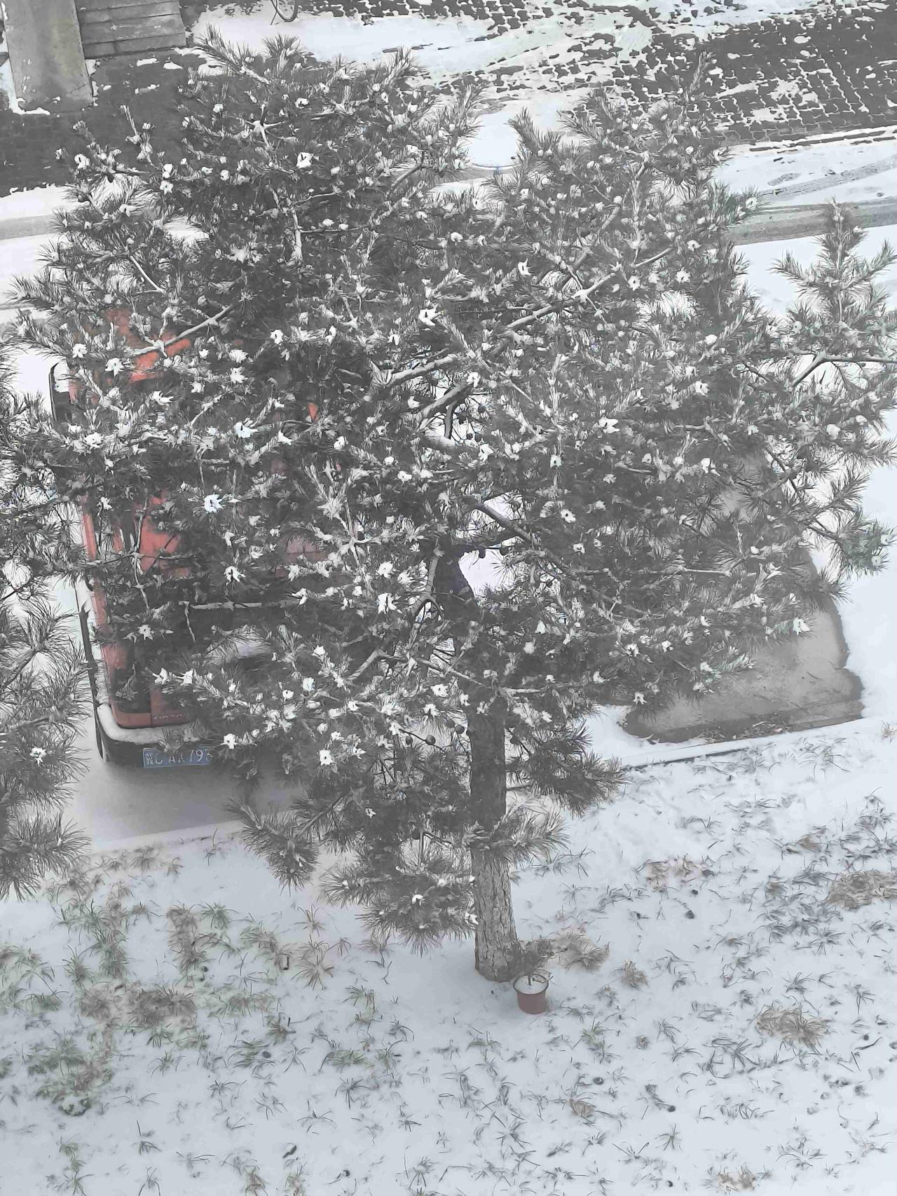 我的今日状态：😪没睡醒
我这里的天气：❄️下雪