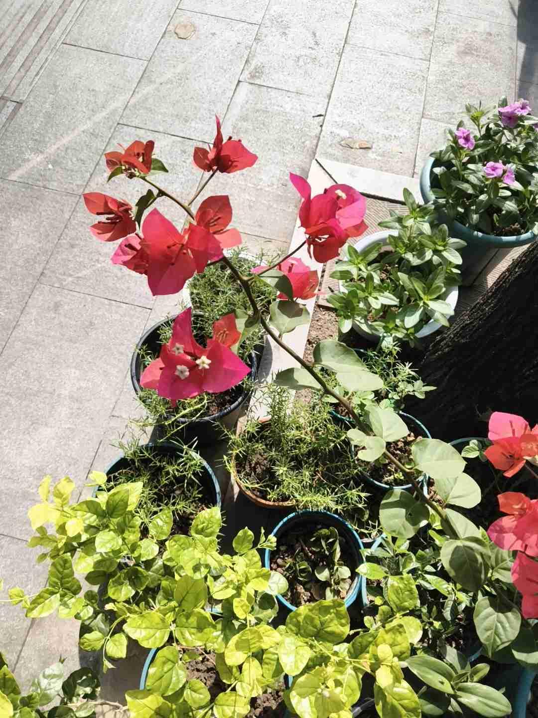 我的今日状态：😁轻松愉快
我这里的天气：☀️晴天