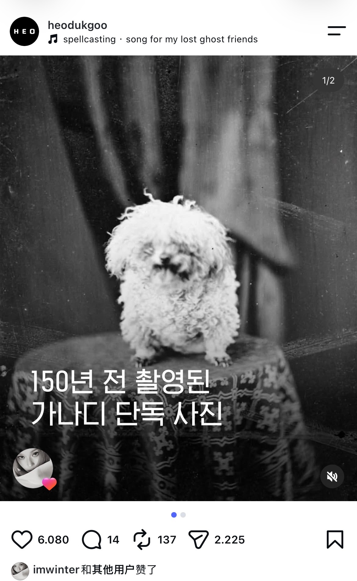 「150年前拍摄的小狗勾单狗照」imwinter like❤️ ​​​