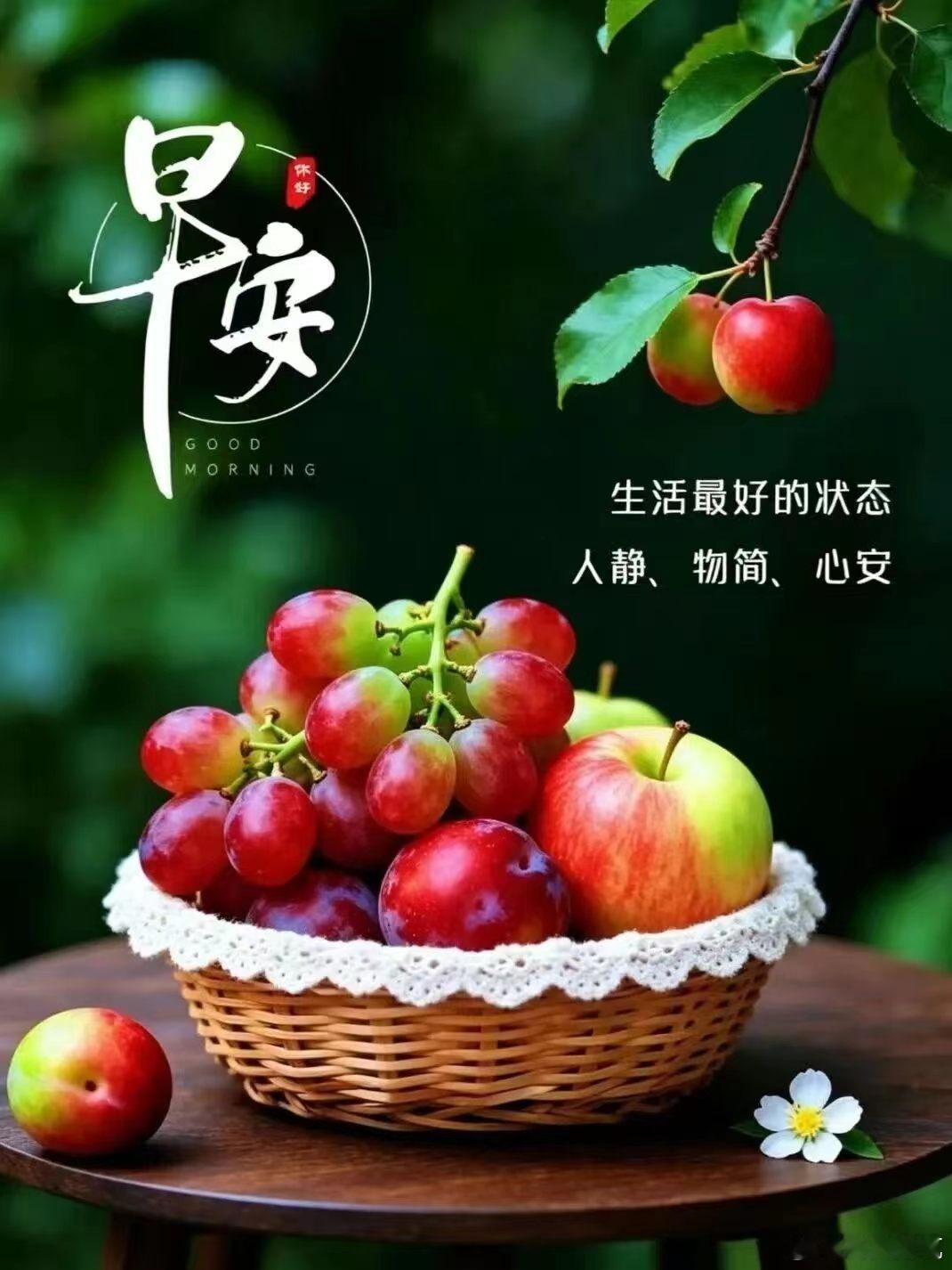 每天摸鱼打卡鸟儿叫，花儿笑我的祝福准时到，心态好，烦脑少，身体健康无价宝日子顺，