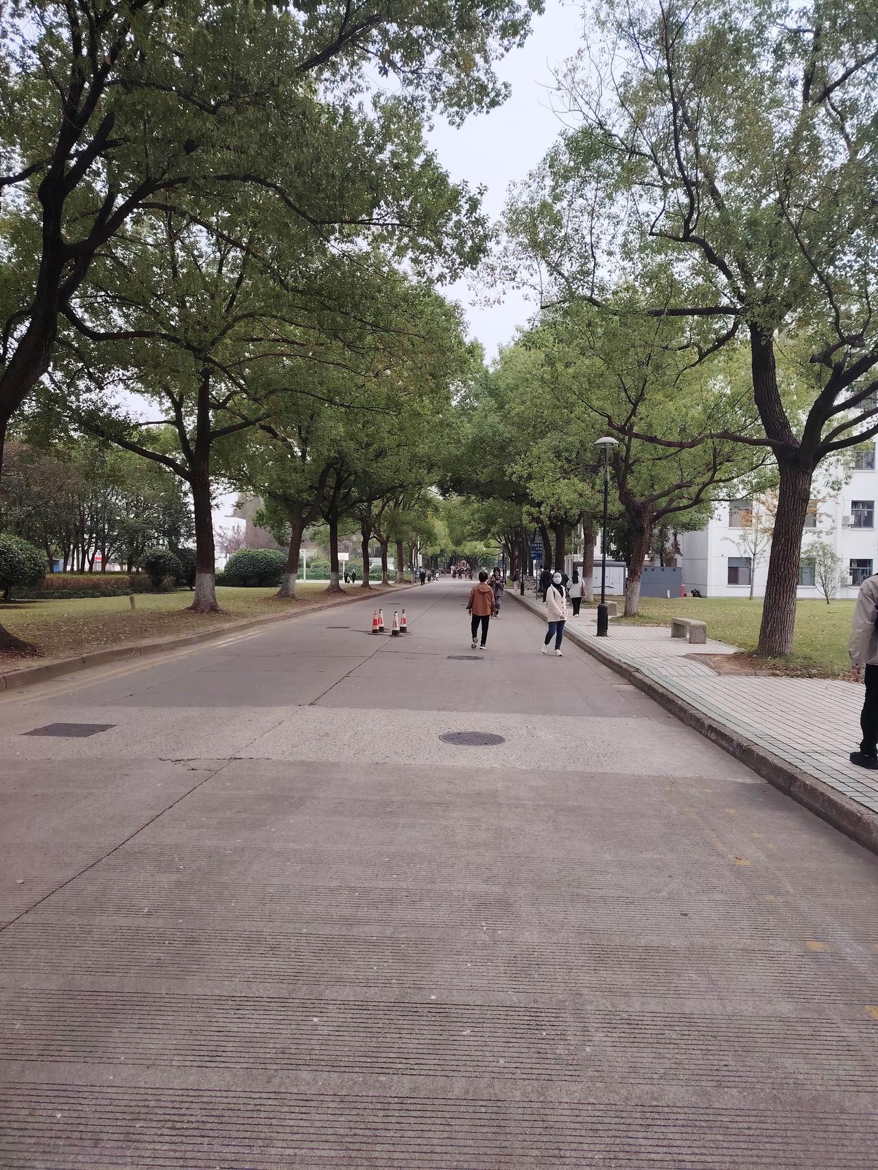 幸福不在未来，而在当下，你准备好了吗？这句话听起来似乎简单，却像是一扇通往内心深