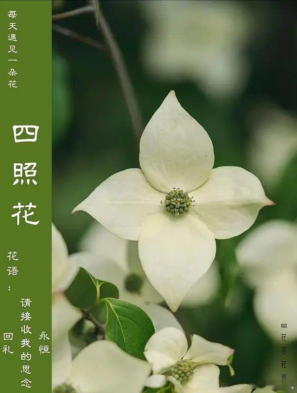 LV起诉茉莉奶白判赔1030万Lv这跟明目张胆偷文化一样 还要在中国人这捞一笔 
