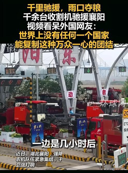 抢收抢种！多地与降雨赛跑🌾 全力守护夏粮丰收
夏收关键窗口期，争分夺秒抢丰收⛅
