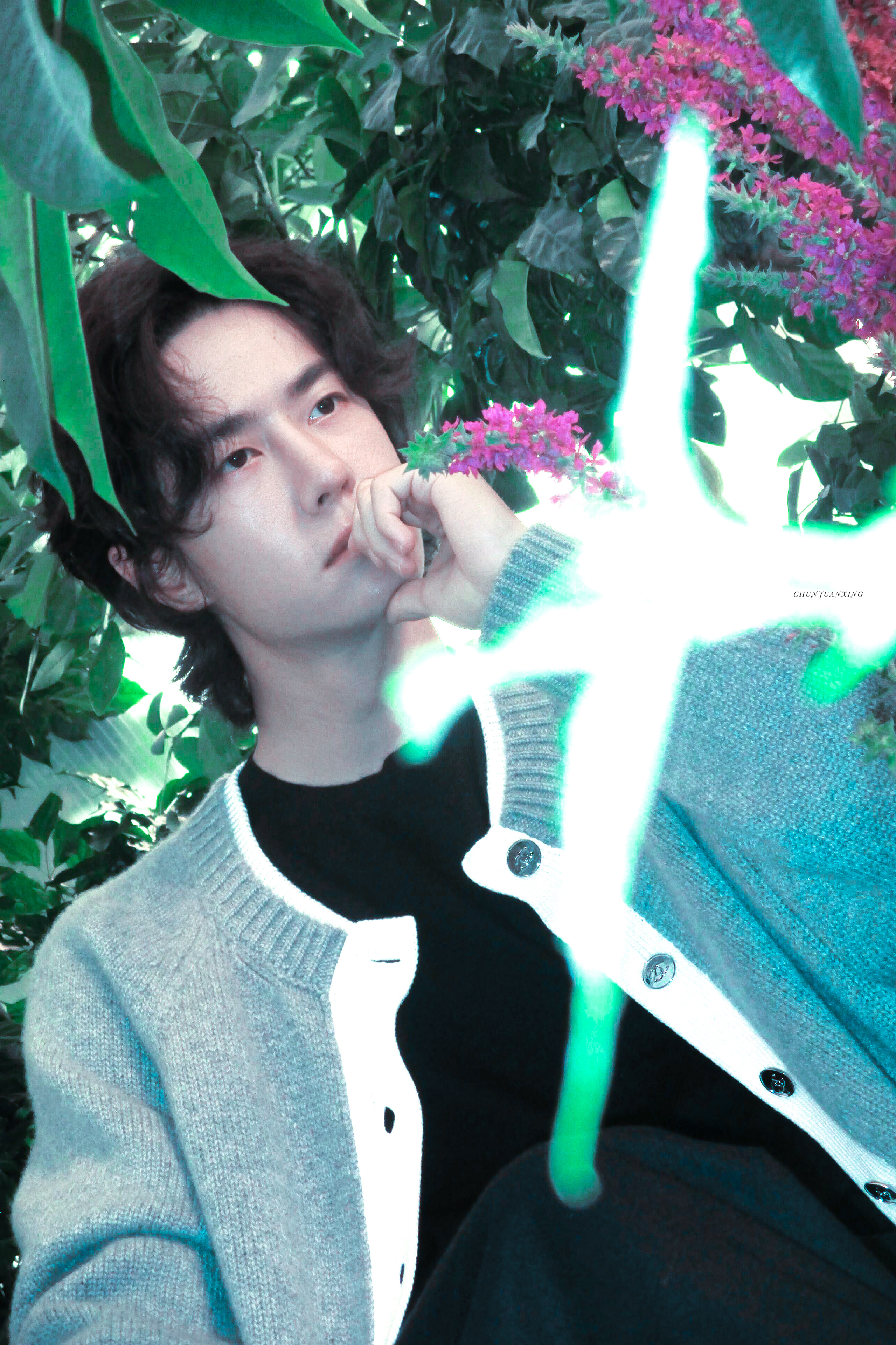 祈尔繁芜胜常春 