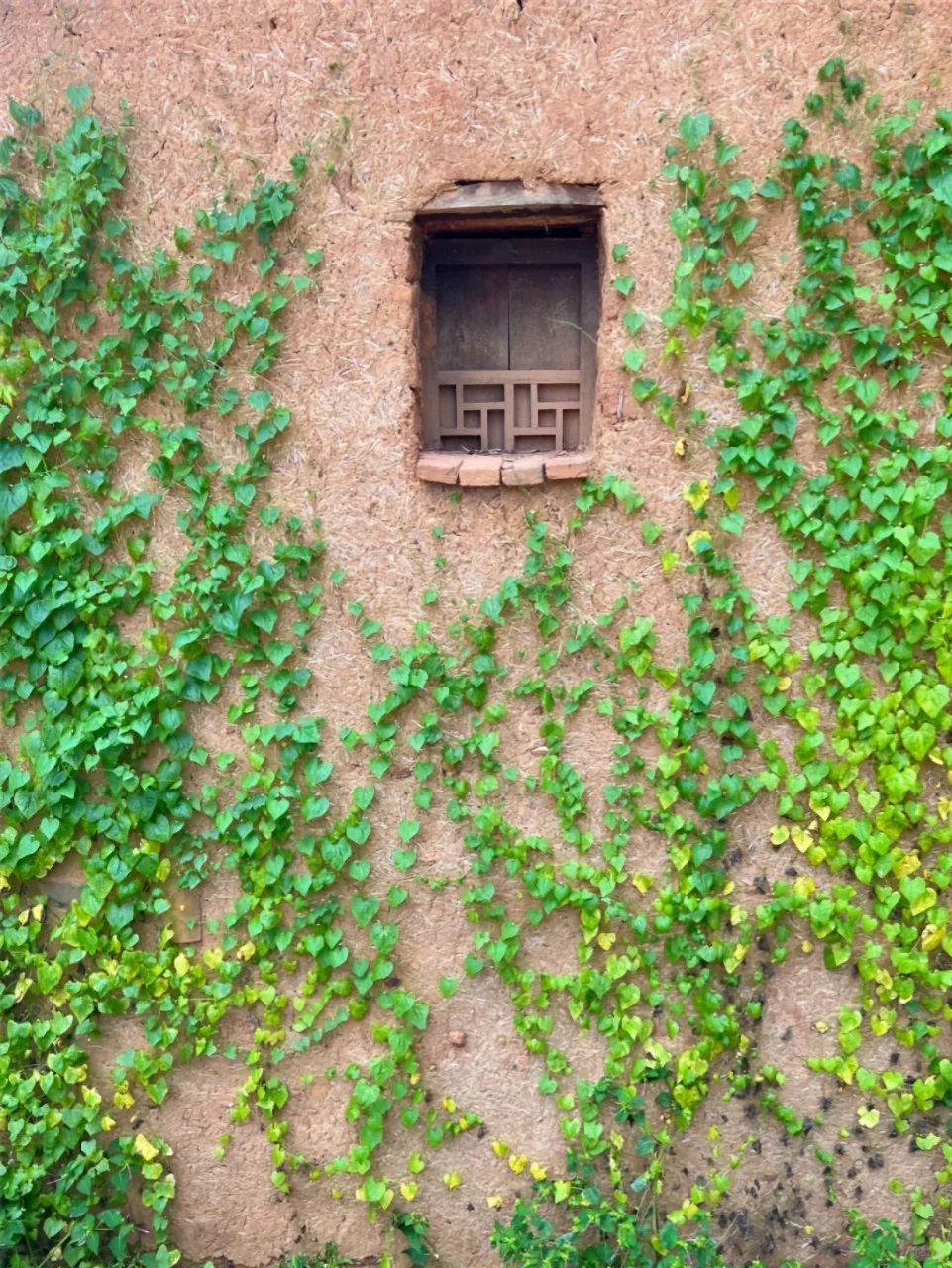 远离人群，这个地方太适合躺平发呆了！
