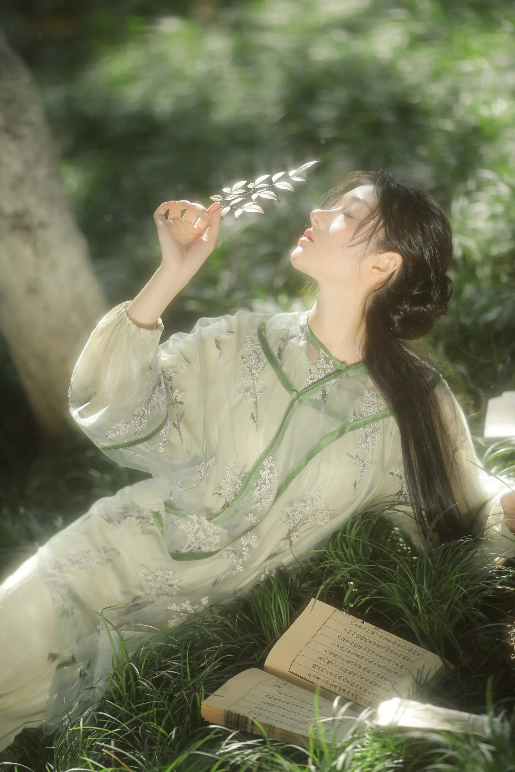 “燕草如碧丝 秦桑低绿枝”🌿。光影