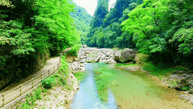 光雾山｜把徒步爱好者的仪式感狠狠拿捏✨18℃的山林绿野，徒步还能解锁 3 款限定