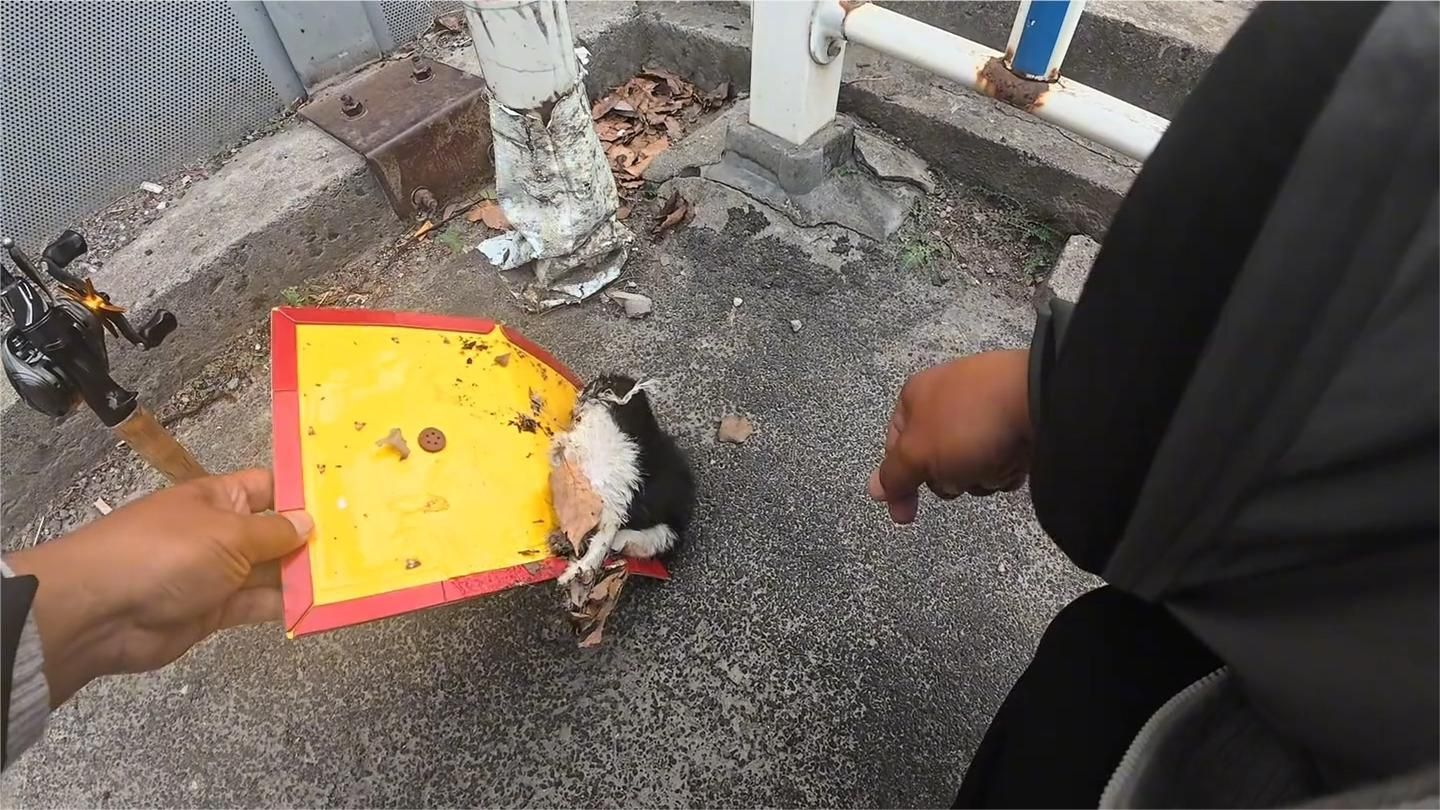 记好人好事一件！