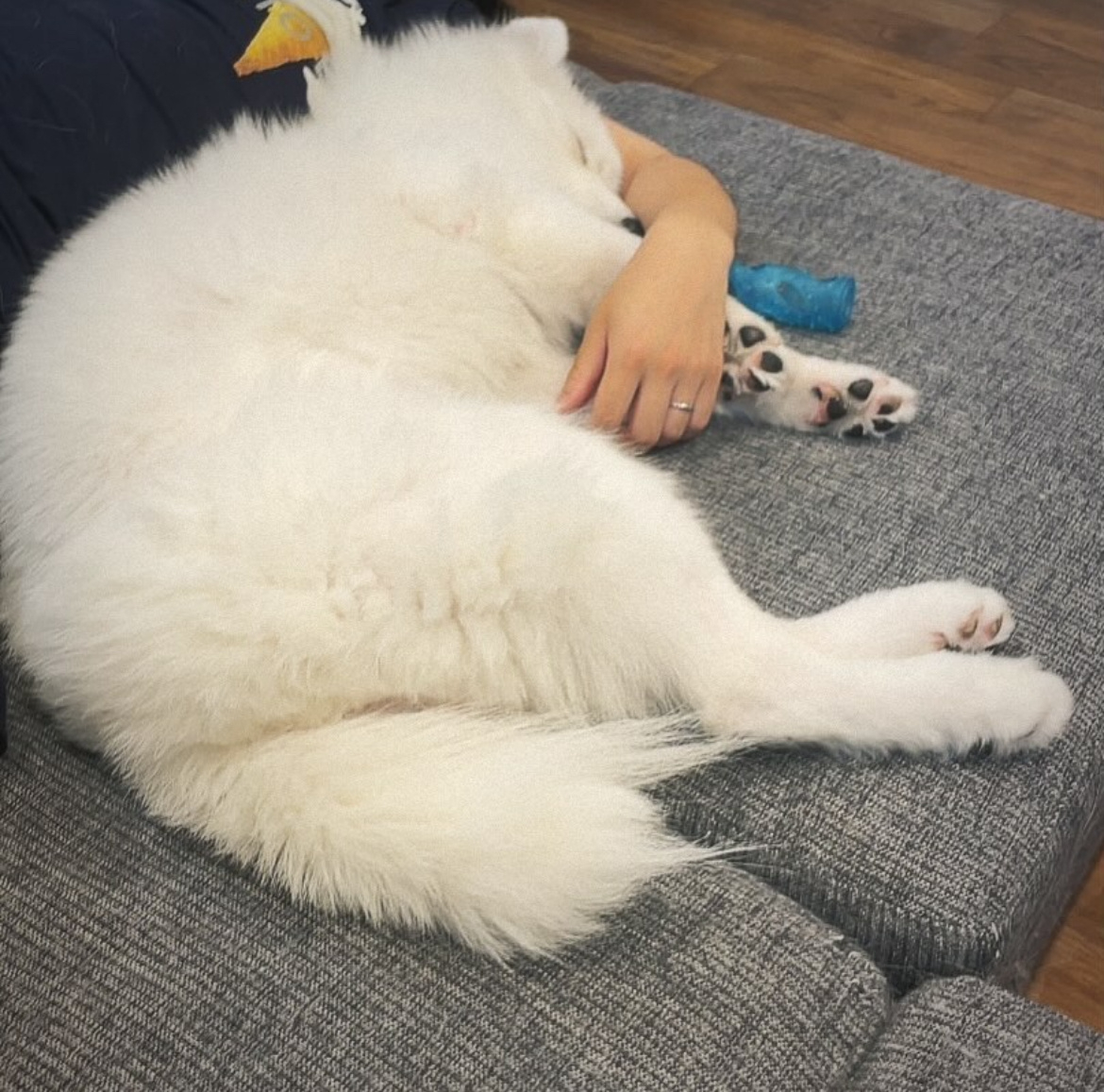 晚安耶 