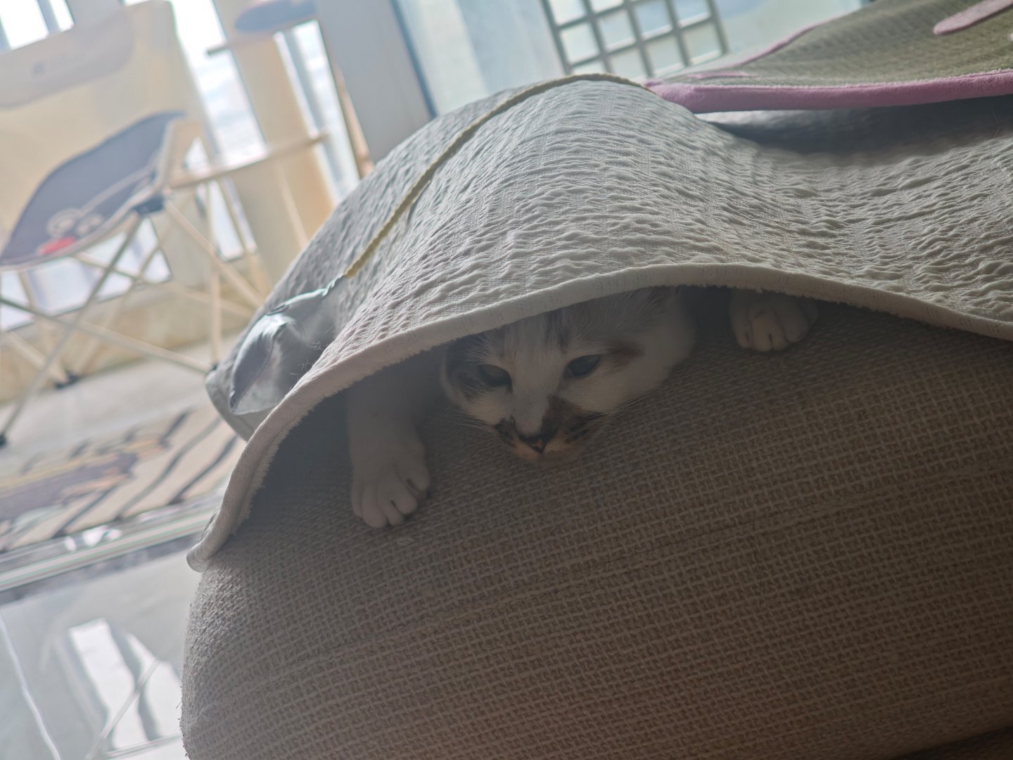 这样比较有安全感 