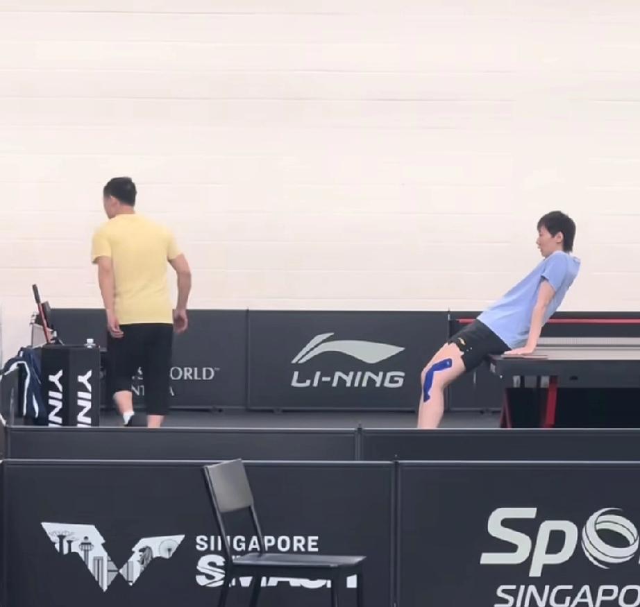 WTT新加坡大满贯，王曼昱今日训练馆训练备战明天对阵日本选手张本美和的比赛。
训