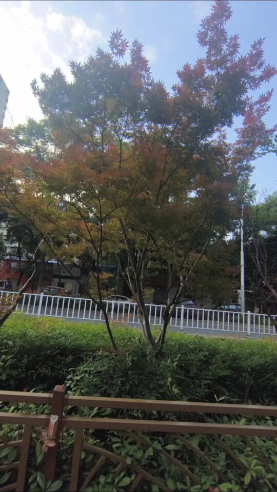 起了点风