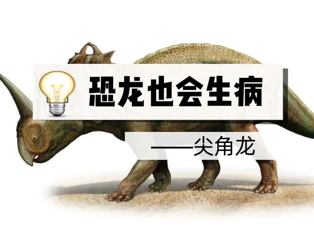 恐龙也会生病—尖角龙