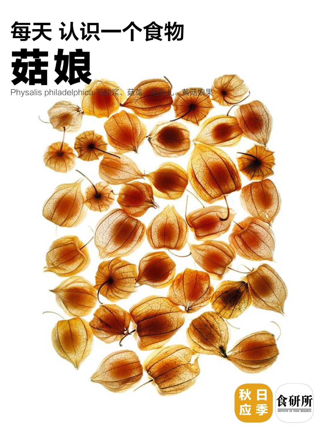 菇娘真的是南方人水果盲区吗？