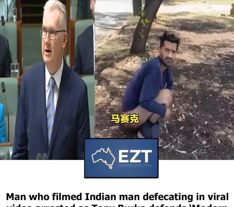 一名印度移民在澳大利亚树旁拉屎，本地人发现后斥责了他。然而，该澳大利亚男子被澳大
