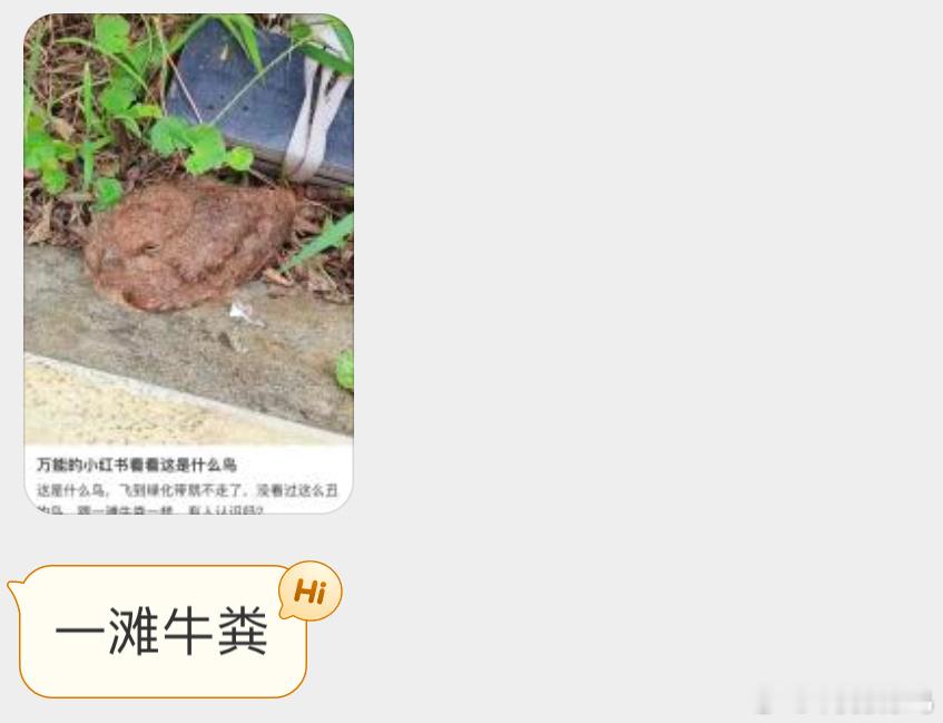 夜鹰宝宝：？？？ ​​​