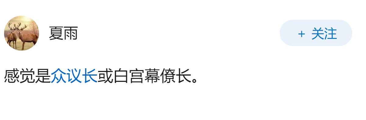 美国实际上的二号人物是谁？