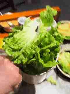 近日，湖南长沙一烤肉店内，顾客就餐时发现生菜叶中藏有蚯蚓，立即叫来店员。店员回应