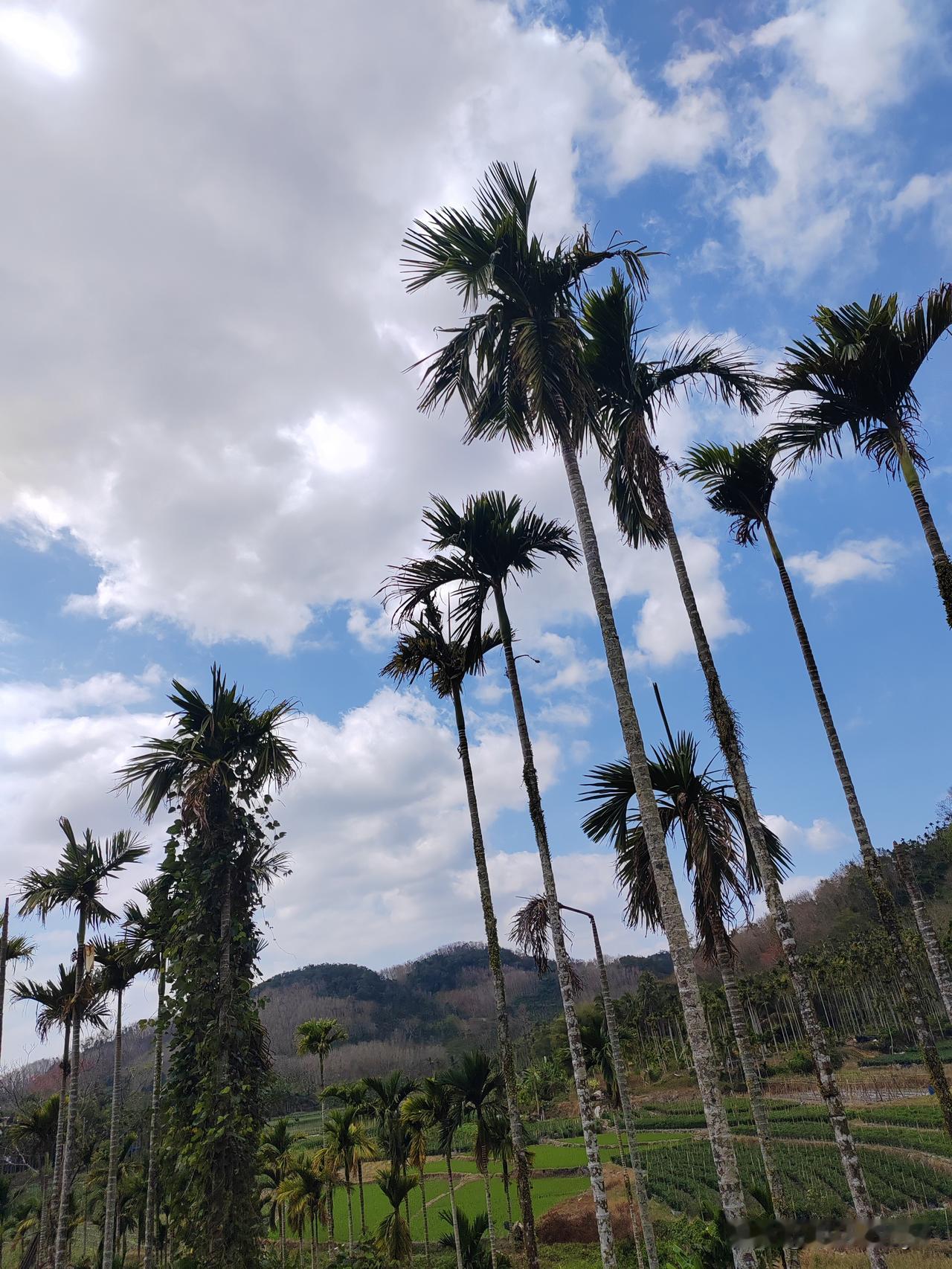 可以分享一张你拍的天空美照吗