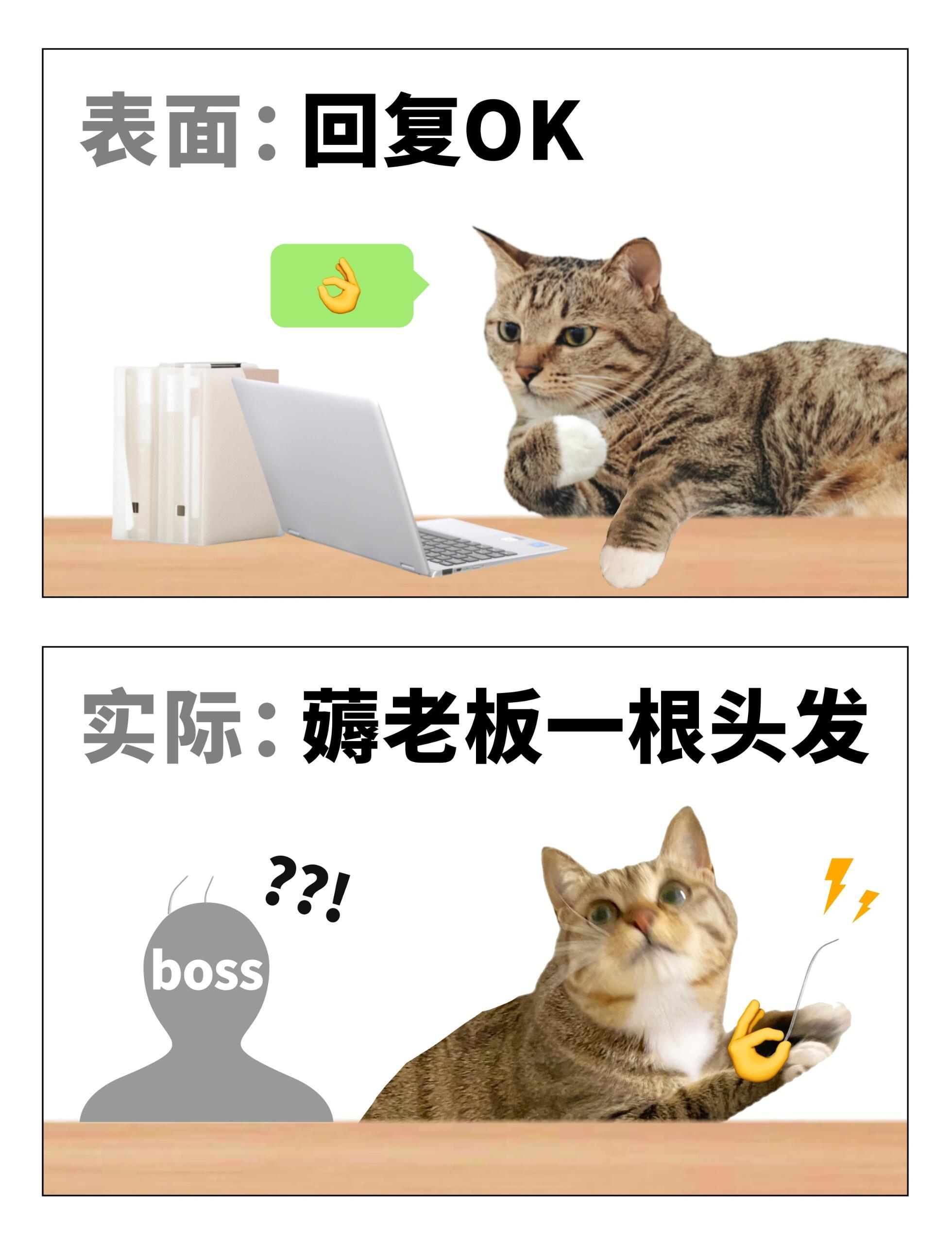 来自职场人士的黑话合集俗话说得好 打工哪有不疯的 ​​​