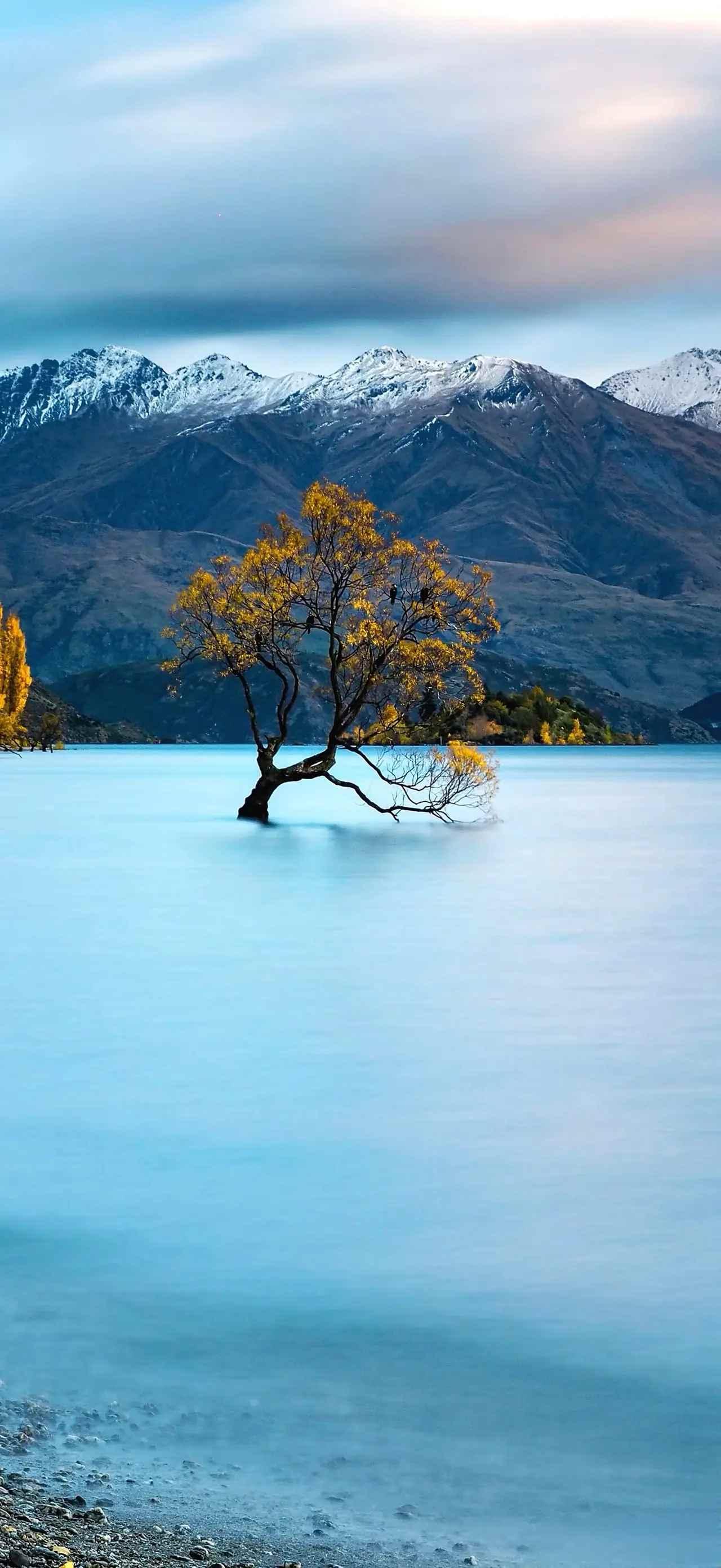 一位养生专家说:
“极度自律，每天锻炼的人，不一定能长寿，但是，极度自私，不为任