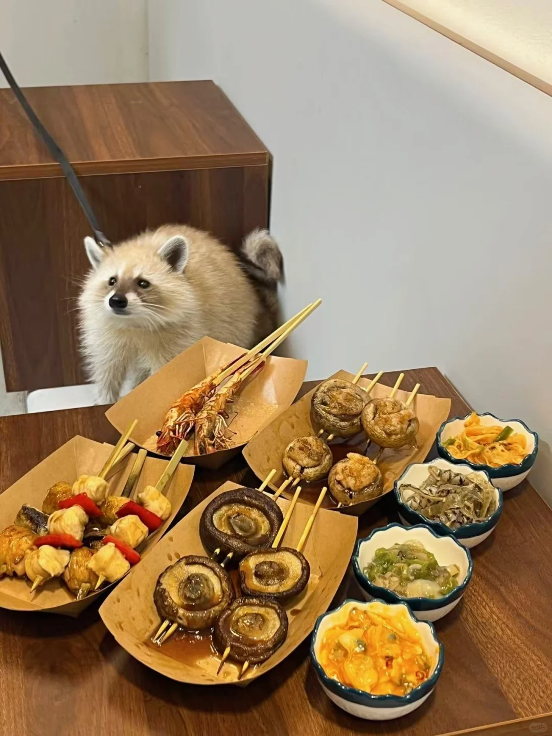 🦝熊！你也要来一串吗？