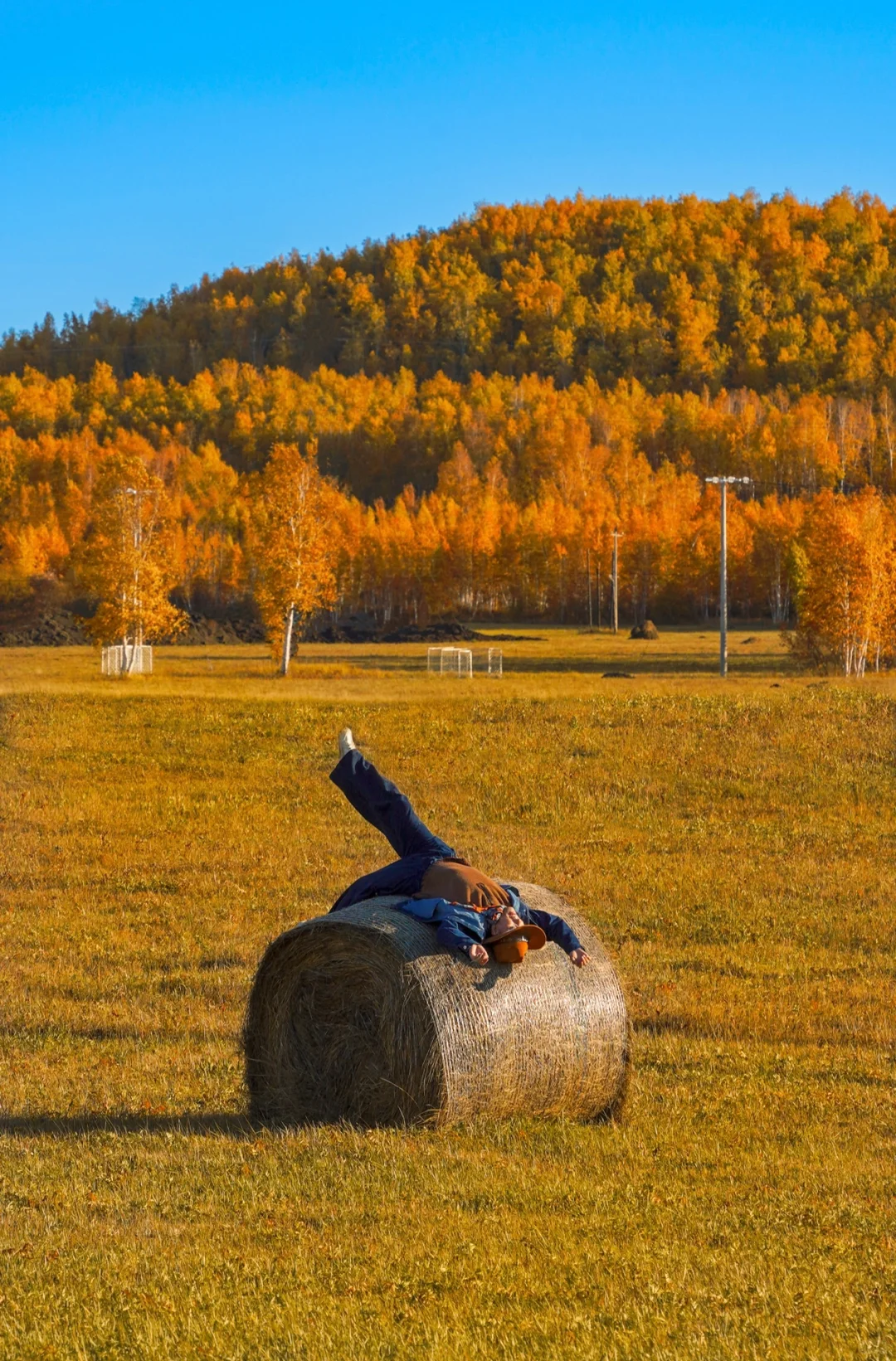 秋天就应该浪费在这样的地方啊！额尔古纳