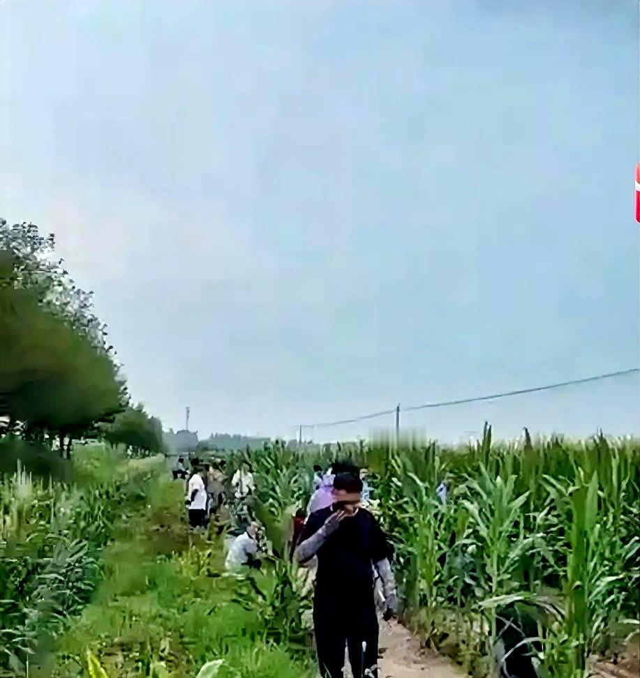一望无际的玉米地里藏个人，简直像大海捞针，这可咋整？
为了把躲进青纱帐里的人揪出