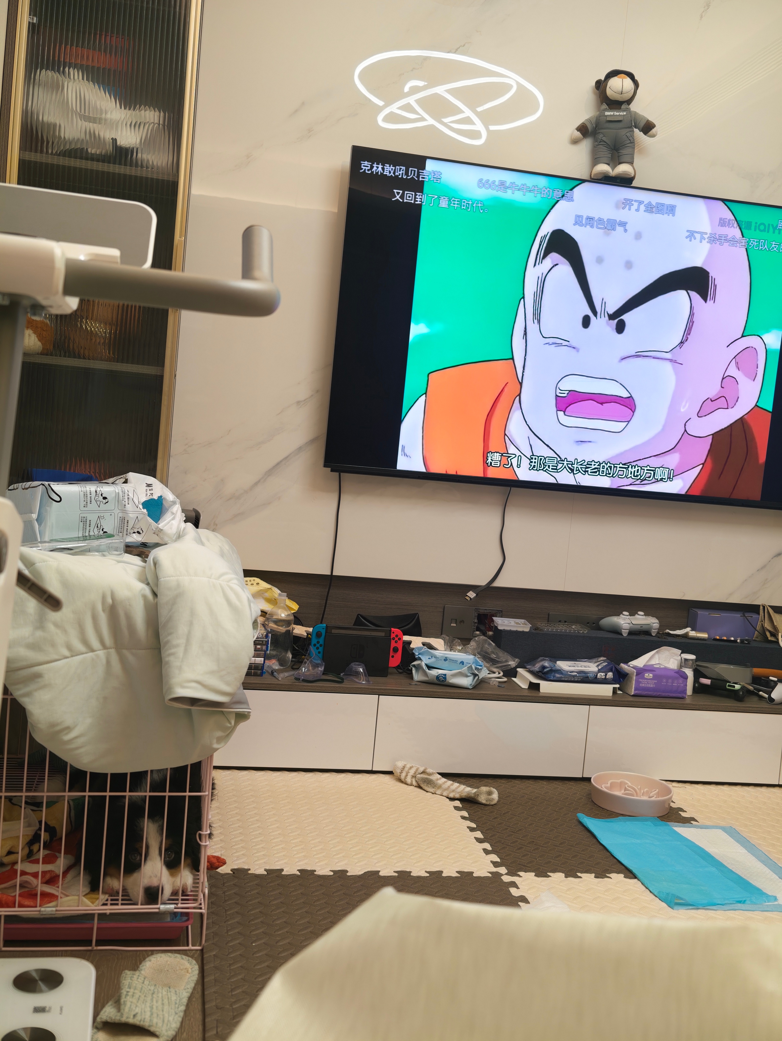 看电视的时候，狗子就安静地看着你观察人，分析人这点，狗真的要比猫明显得多 