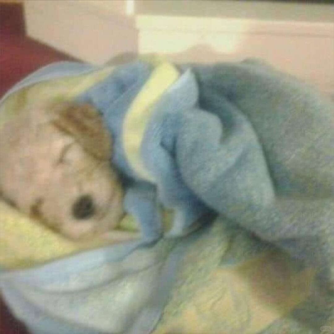 好困啊 熬不到零点跟你们说八月快乐了只能明天早上惹 晚安！😴💤 