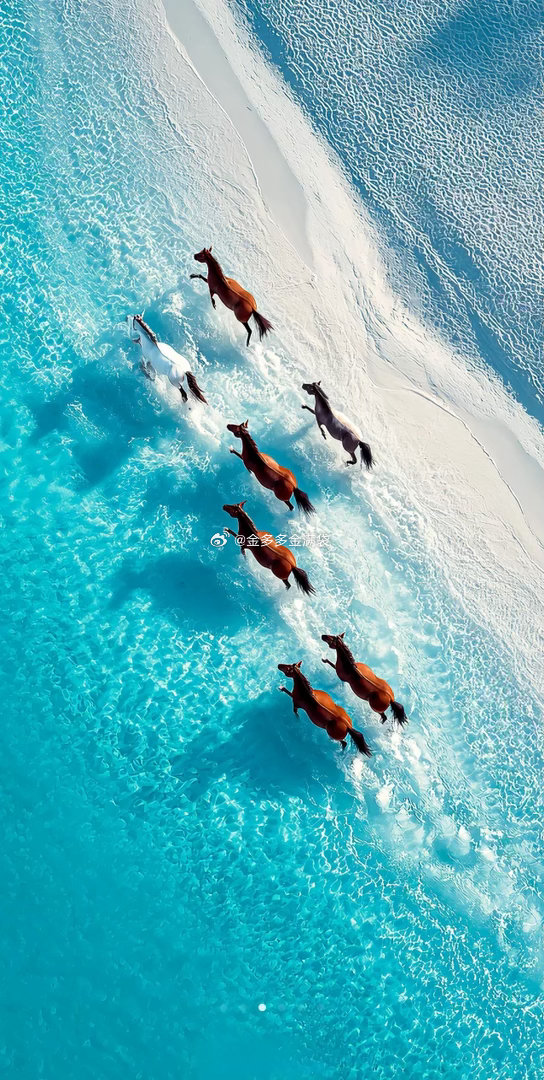 三星存储百亿长单，存储超级周期大家坐好拿稳，几年后你就是富甲一方，不要挂我没提前