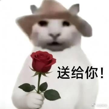 可灵AI力压众多海外模型登顶全球第一 被可灵的成绩单刷屏了，不仅拿了第一，前15