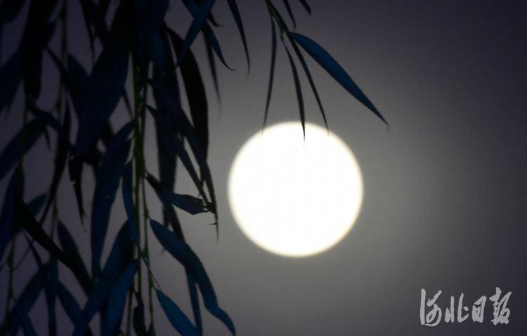 #我家中秋怎么过##中秋话团圆#明天又是一年一度中秋佳节，这是我国传统节日，每逢