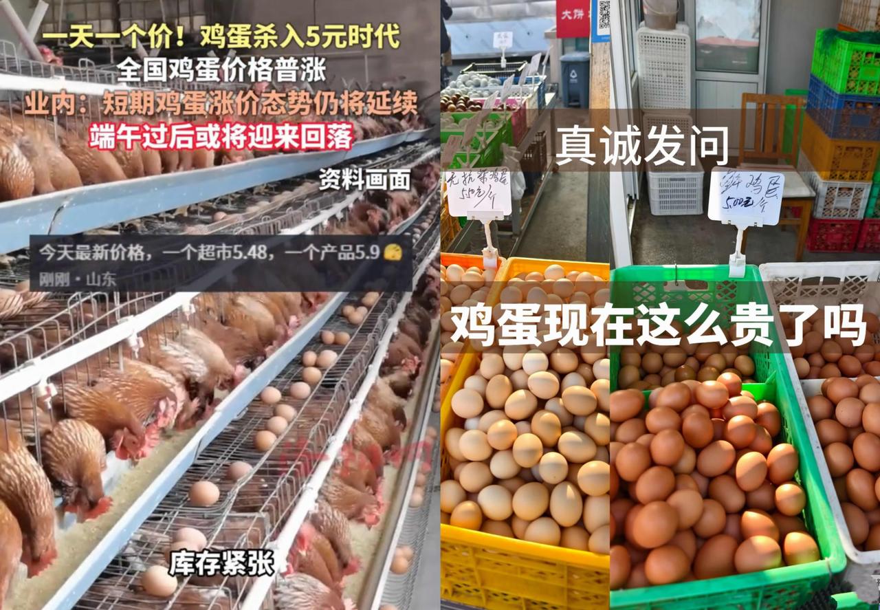 “鸡蛋昨天4.99元一斤，
今天就5.29元了，
一天一个价。”近期，全国鸡蛋
