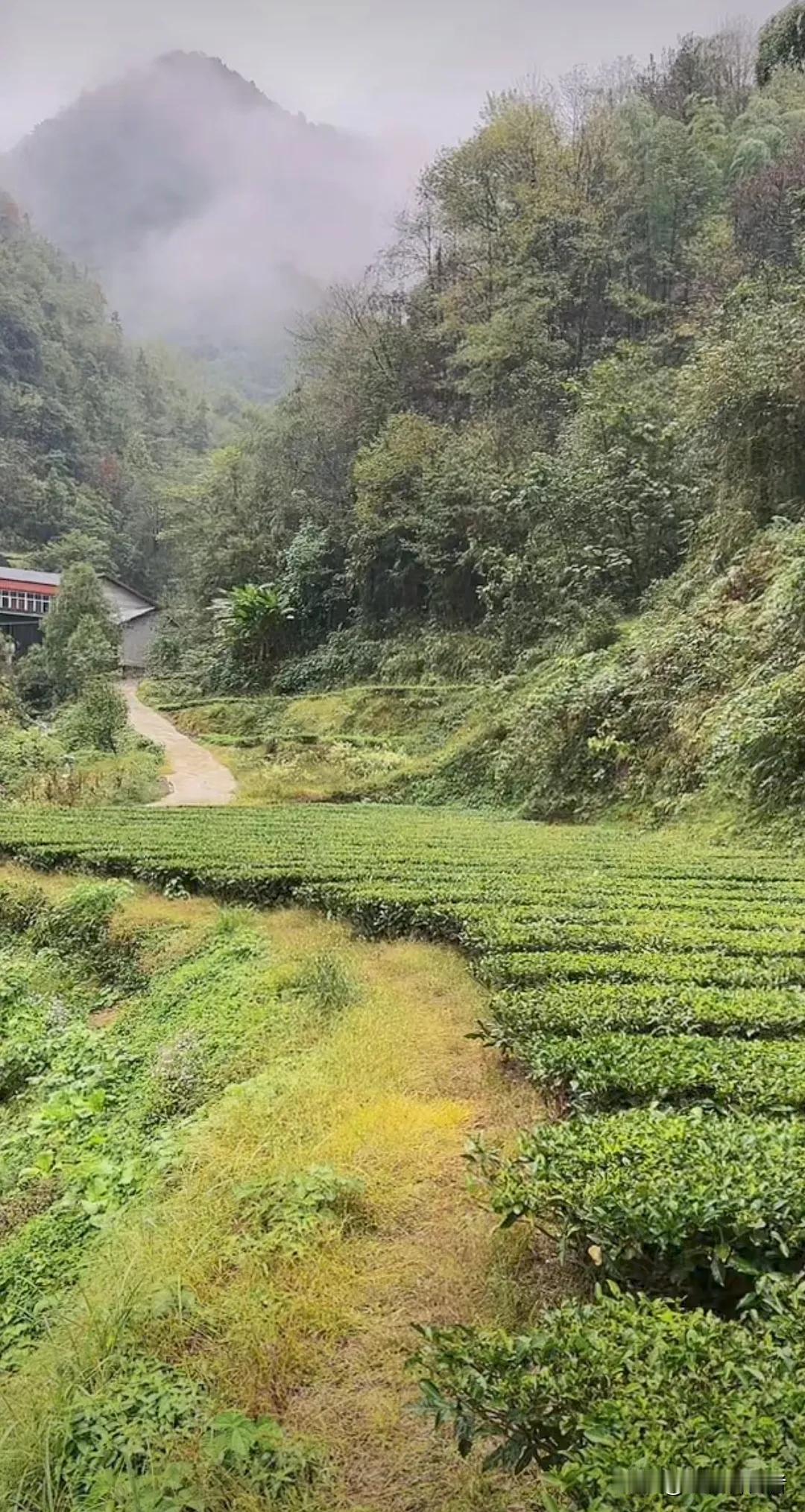 #上联，世世代代都种地，求下联？#
上联，世世代代都种地，
下联，男男女女皆农人