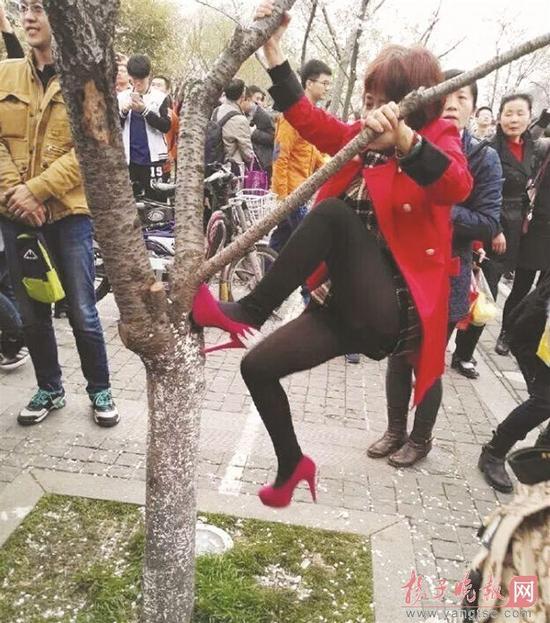 “淑女”这两个字，和她完全不搭边了！