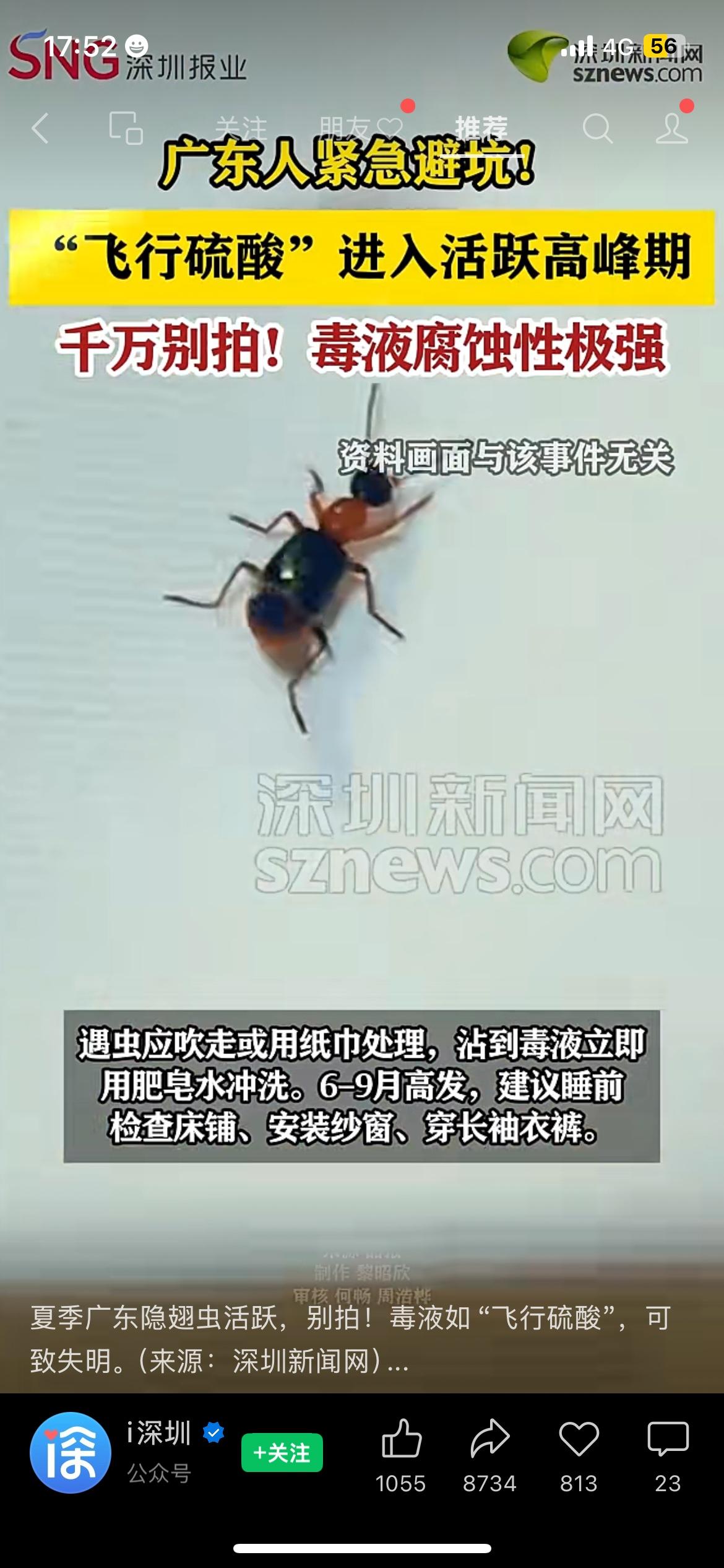 广东人紧急注意！这种虫子千万别手贱去拍！
夏季高发的隐翅虫正式活跃！民间俗称“飞