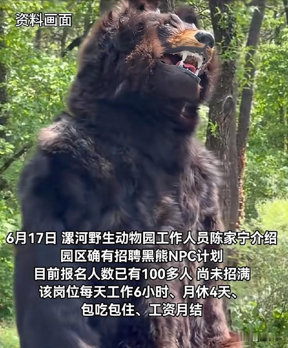 河南漯河一动物园，年薪10万招黑熊NPC不限性别，但不允许说人话，只需"嗷嗷叫，