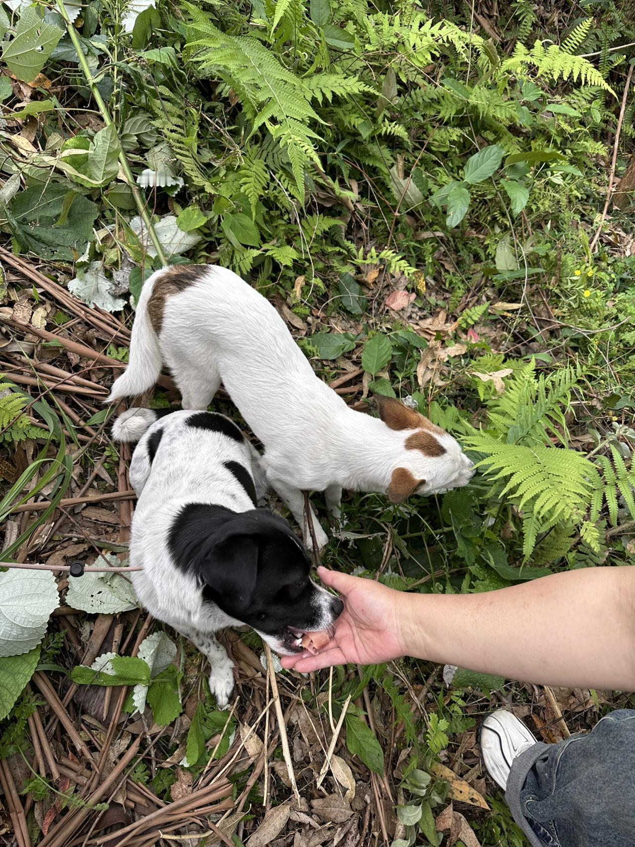 我的今日状态：😁轻松愉快
我这里的天气：☀️晴天