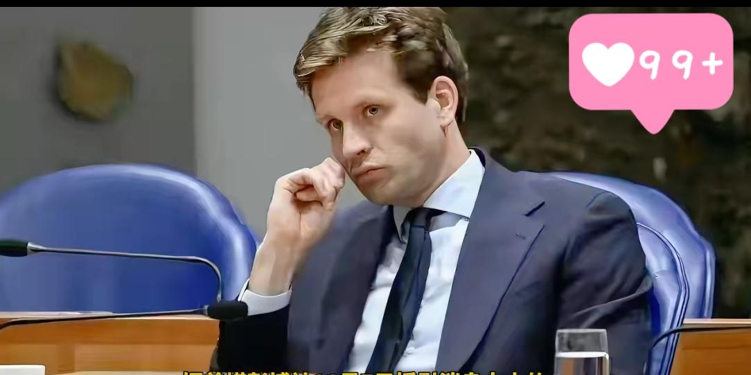 荷兰放弃接管中企安世半导体，背后究竟发生了什么？

在经过一个多月的强硬态度之后