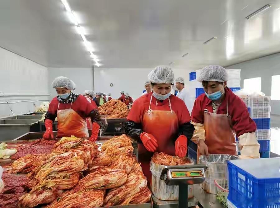 韩国进口辣白菜超99.9%来自中国  说好的“泡菜宗主国”，结果99.9%靠中国