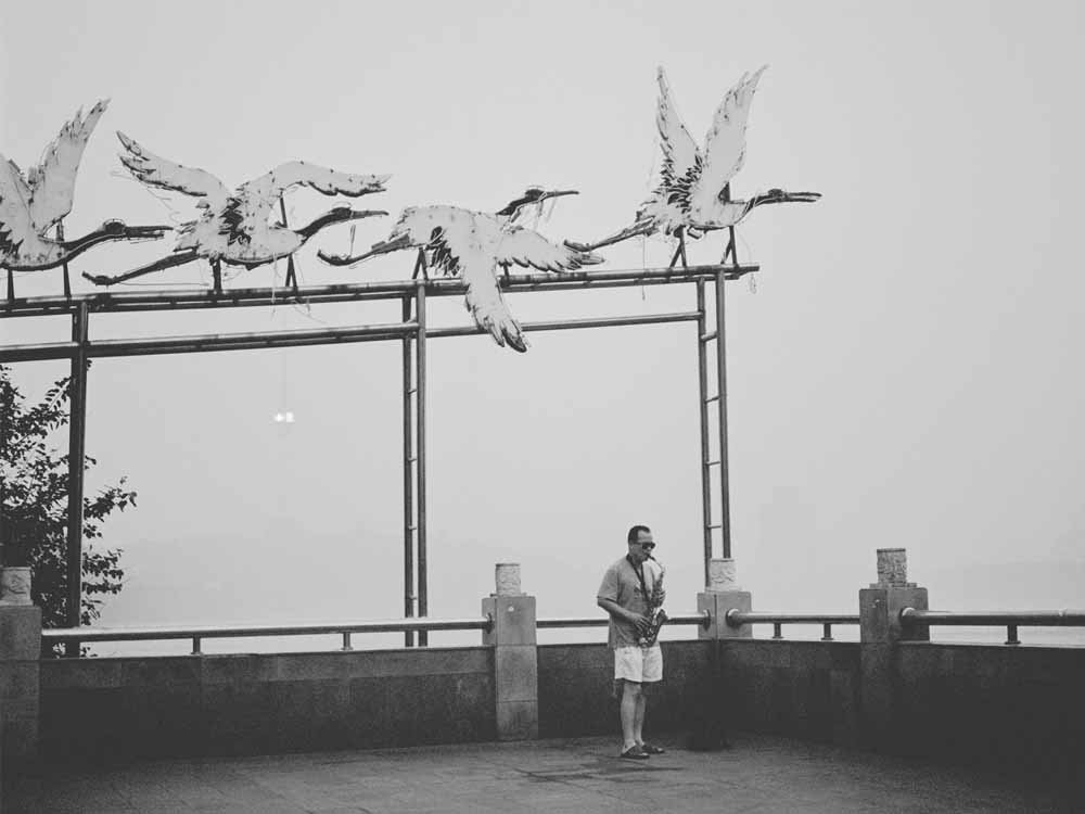 余华在《活着》里写道：没有什么比活着更快乐，也没有什么比活着更艰辛。 ​​​