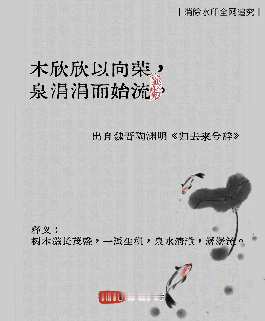 “古诗里的我不联系你，但我还喜欢你！” 