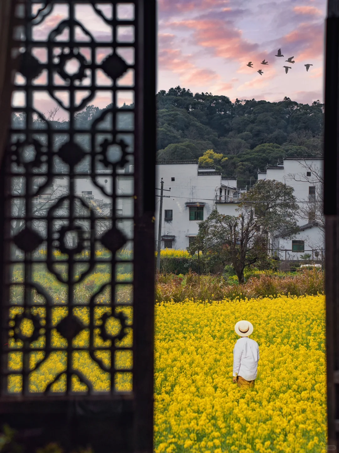 婺源旅行👉避开人群这❼个小众地千万别错过～