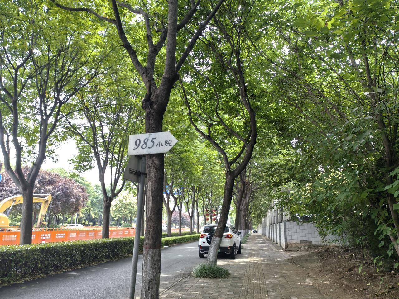每日路过周山大路，瞧见路边挂着“985小院”的牌子，我满心好奇。今日得闲，便进去