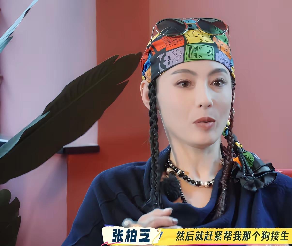 张柏芝这段关于剖腹产后给狗接生的说法，确实让人听着有点懵。
 
剖腹产的伤口有多