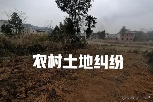 农村土地纠纷，法官去看现场，被告在无土地权源证据的情况下，纠结了十几二十个宗族人