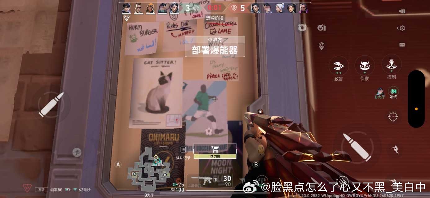 3989只黑脸瓦逻兰特 